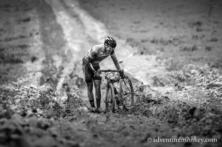 E9936FA5-D5C7-41F8-93B9-777B808D9C3D