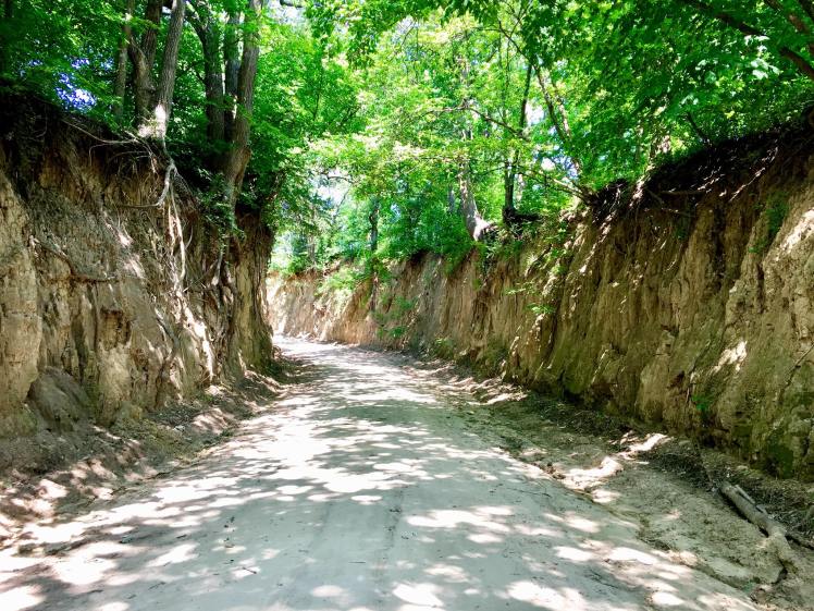 35399337_1655355557896184_6344055017070133248_o