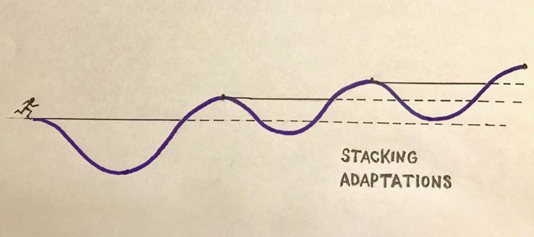 56972036_10100191233929125_1705003820674711552_n