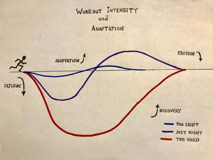 57267714_10100191234038905_5041462273088946176_n