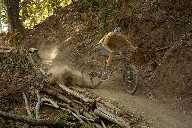 66388334_294612304668588_976846289456383086_n