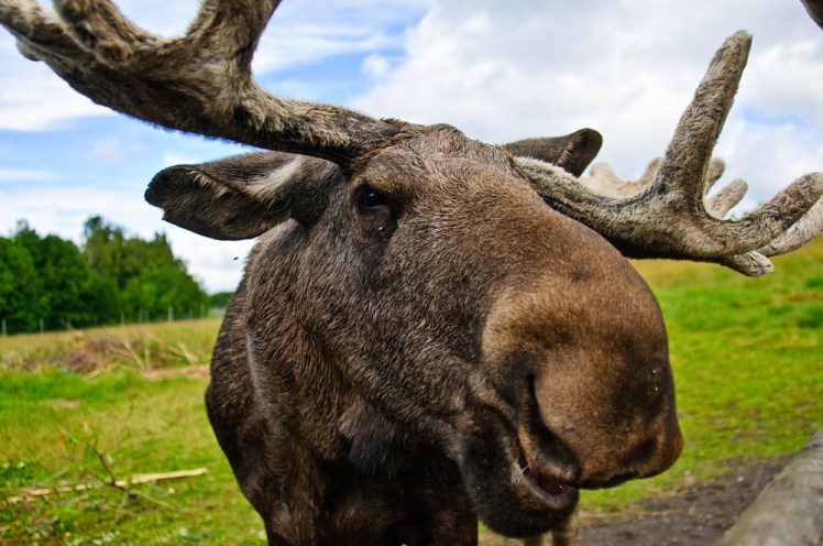 Bildagentur-Zoonar-GmbH