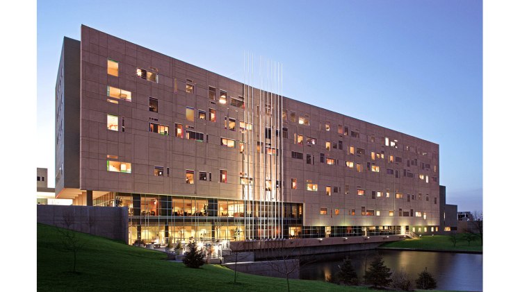 ST.-Elizabeth-image-5